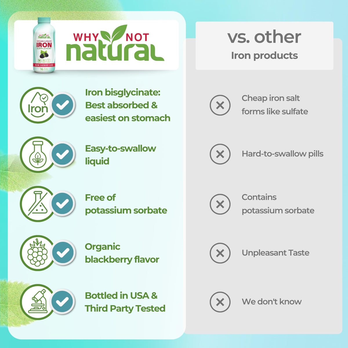 Why Not Natural Liquid Iron Supplement for Women, Men and Kids, Vegan Formulation for Anemia, Sugar Free, Vegan, Non-GMO, Organic BlackBerry Flavor 16 Fl Oz