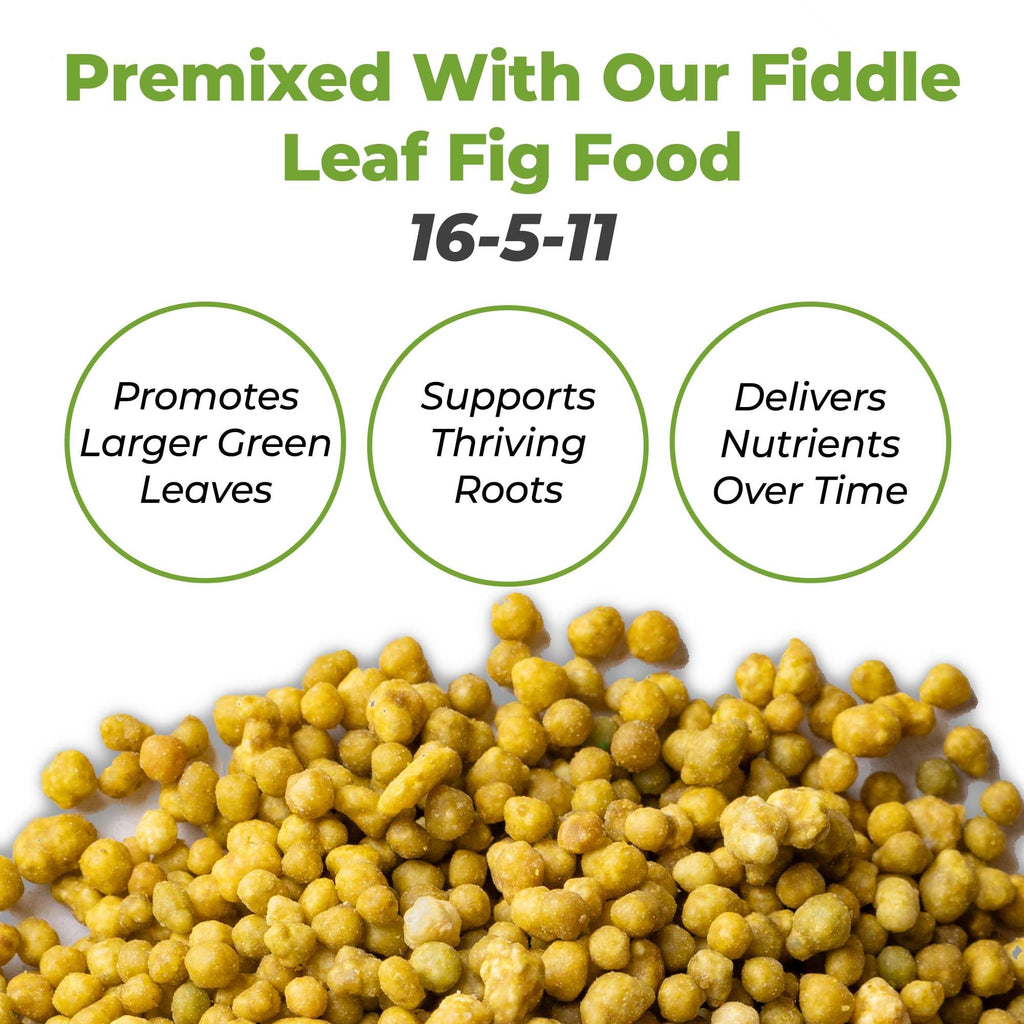Perfect Plants Fiddle Leaf Fig Soil, 8 qt, Coconut Coir Potting Mix