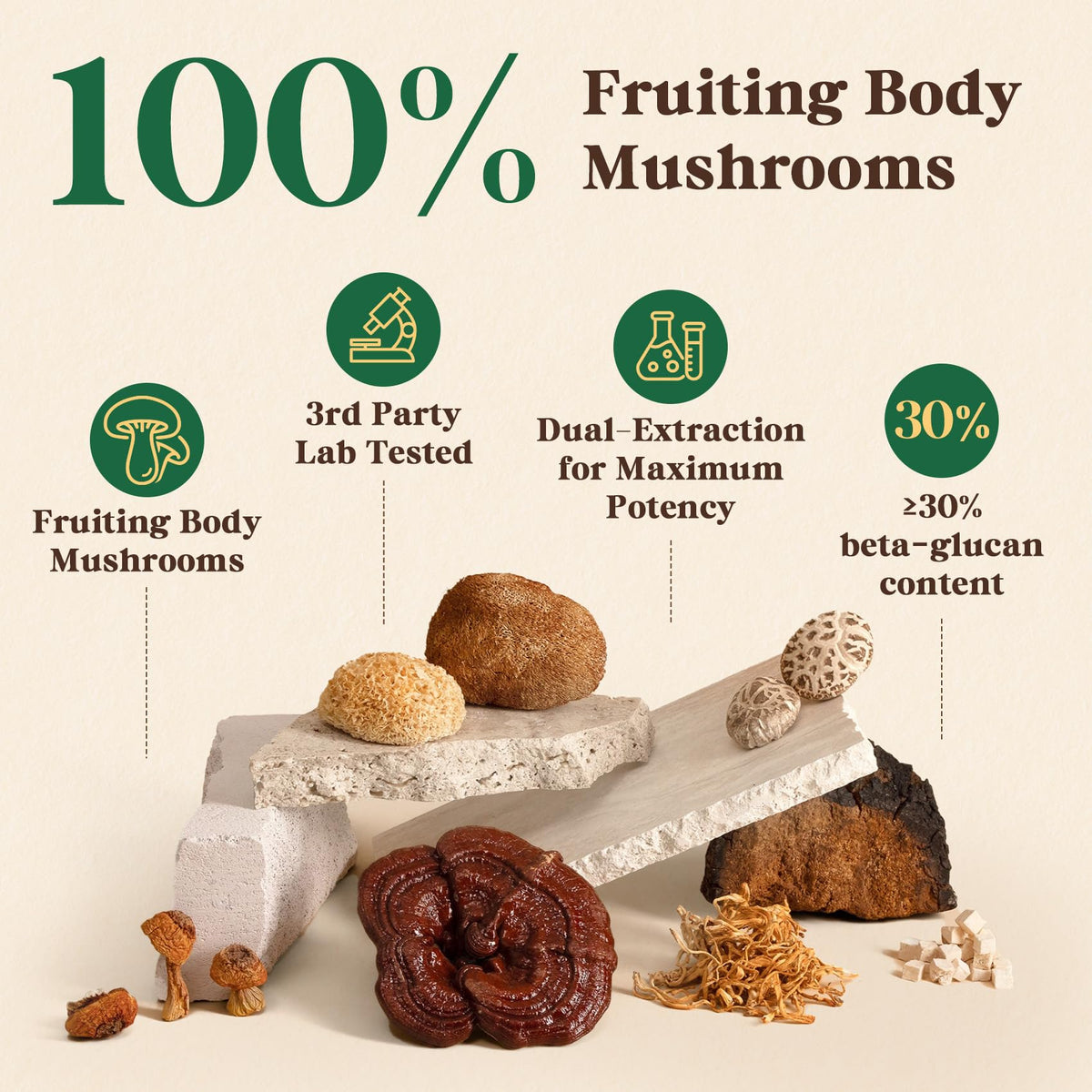 16 in 1 Mushroom Powder, Mushroom Coffee Alternative, 100% Fruiting Bodies