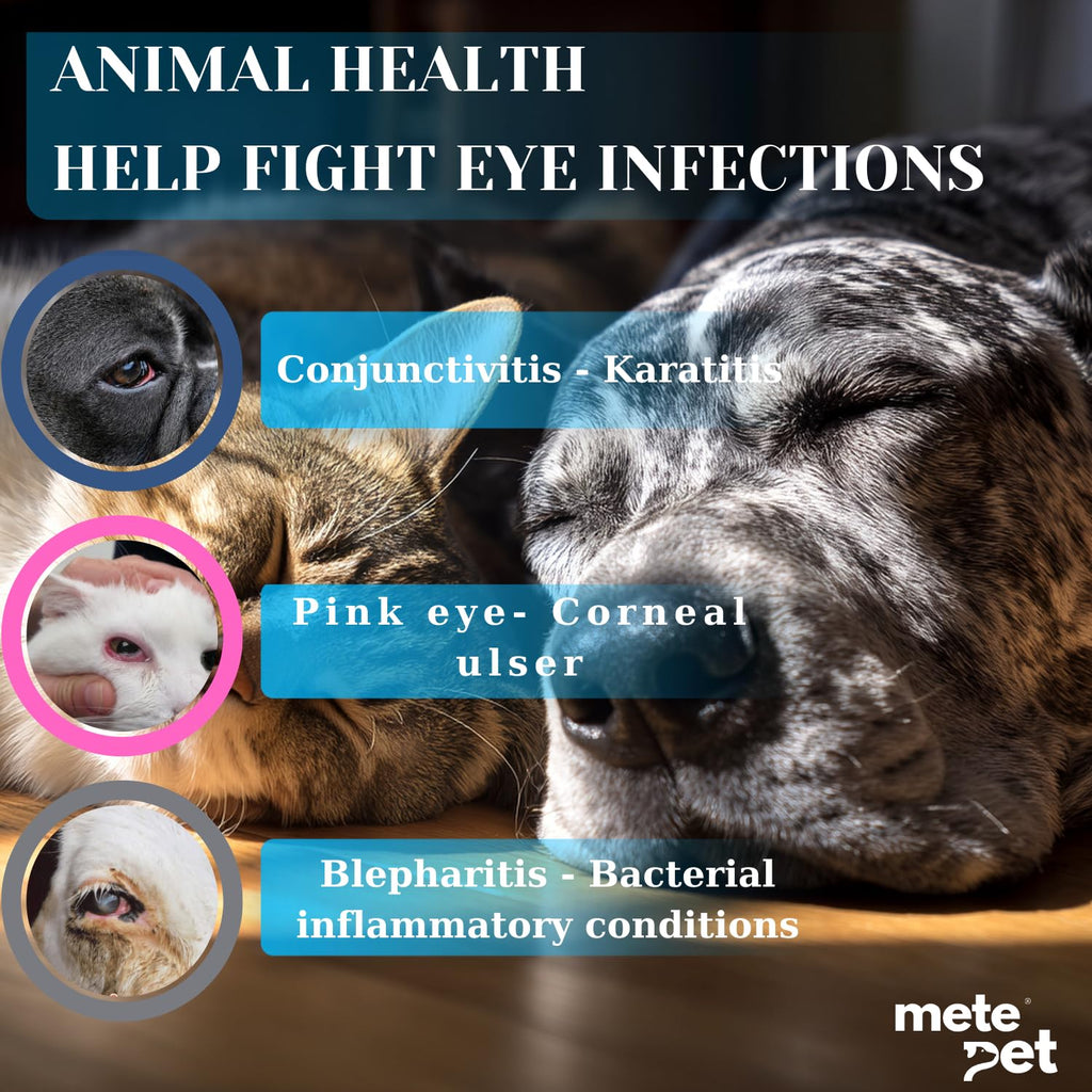 Vetromycin Plus Pet Eye Cream Health for Dogs, Cats, Cattle, Sheep, Horse, Bird 0.35 oz / 10 gr, 1 Tube