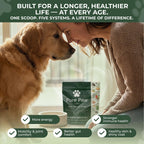 DA-1 Daily All-in-One Dog Supplement Powder | Dog Multivitamin with Probiotics for Gut Health | Supports Skin & Coat, Joints, Allergies & Immune Health | Human Grade Formula