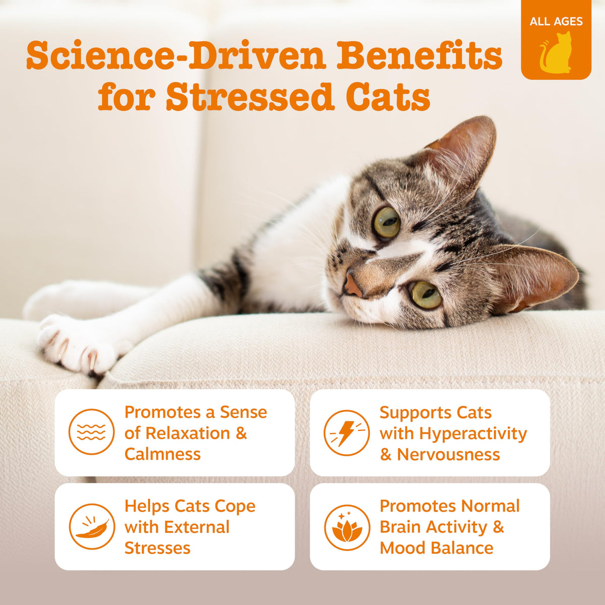 Zesty Paws Cat Calming Bites - Ashwagandha, Bacon, 60 Ct