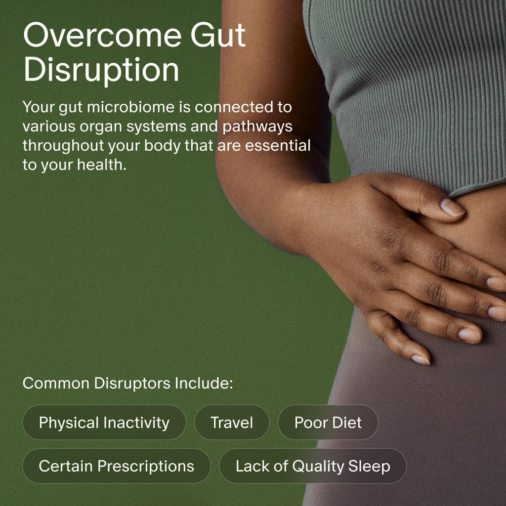 Seed 14 Day Gut Reset - for Adults - 14-Day Supply | 24-Strain Probiotic + Prebiotic - Rapid Gut Recovery - Reset After Travel, Stress, and Medications - Vegan Capsules