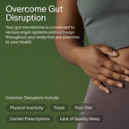 Seed 14 Day Gut Reset - for Adults - 14-Day Supply | 24-Strain Probiotic + Prebiotic - Rapid Gut Recovery - Reset After Travel, Stress, and Medications - Vegan Capsules