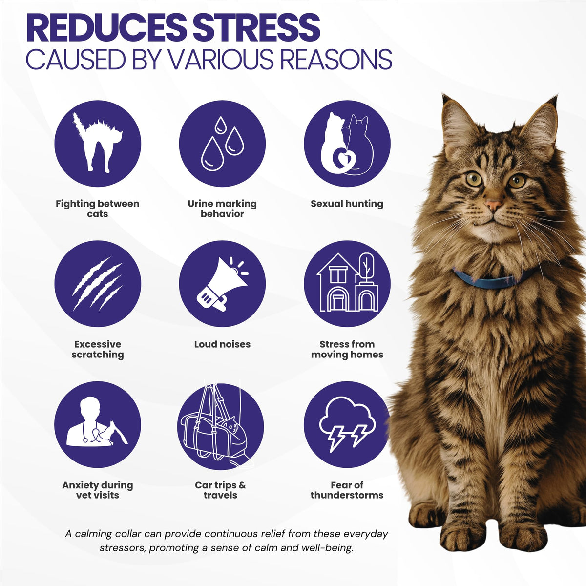 Gentle Paws 60-Day Cat Calming Collar (2-Pack) | for Stress, Fighting, Spraying, Pee Accidents, Anxiety & Aggression | Lavender-Free & Chamomile-Free, Non-Toxic, Breakaway Safety Design