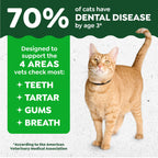 Buy now Greenies Cat Treats, Veterinarian-Recommended Adult Natural Dental Cat Treats, Tempting Tuna Flavor, 21 oz. Tub at indiglob india