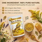Organic Bee Pollen Powder for Bearded Dragons – HONEY&SUN 4oz Reptile Food