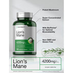 Horbäach Lions Mane Mushroom Extract | 120 Capsules | Vegetarian, Non-GMO, Gluten Free Supplement