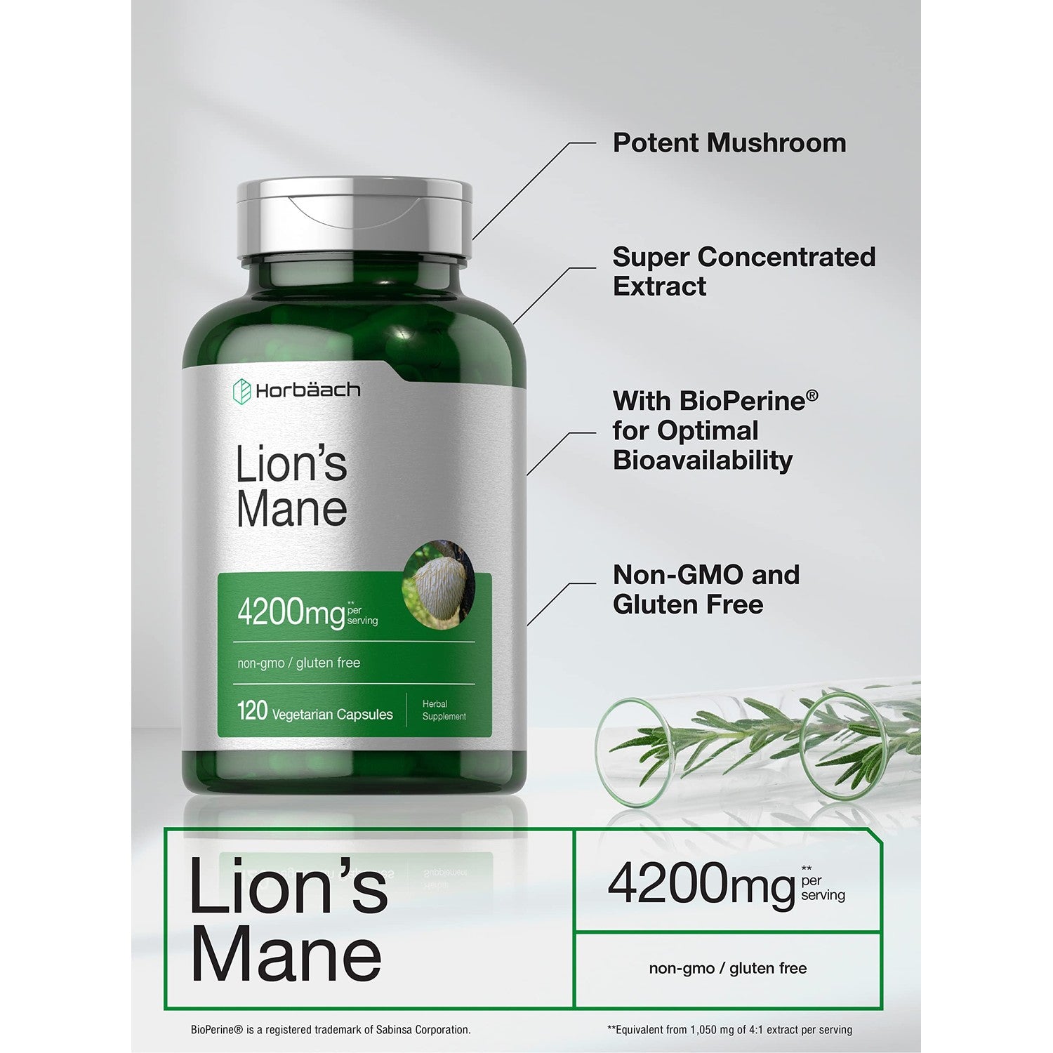 Horbäach Lions Mane Mushroom Extract | 120 Capsules | Vegetarian, Non-GMO, Gluten Free Supplement