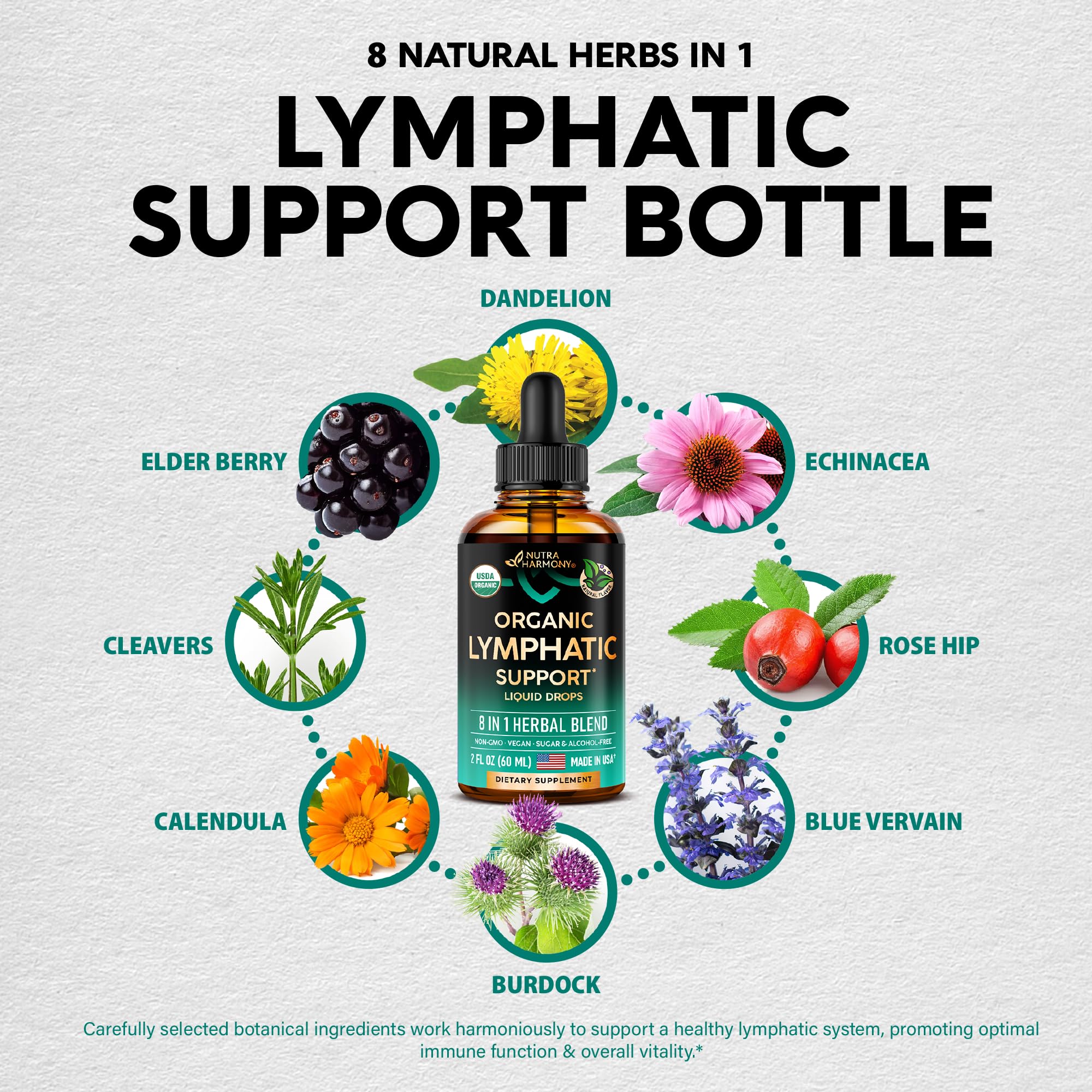 Lymphatic Drainage Drops - USDA Organic Lymphatic Supplements - 2 fl oz | Echinacea, Elderberry, Dandelion, Rosehip, Cleavers, Calendula, Burdock - Sugar & Alcohol-Free - Immune & Lymph Flow Support