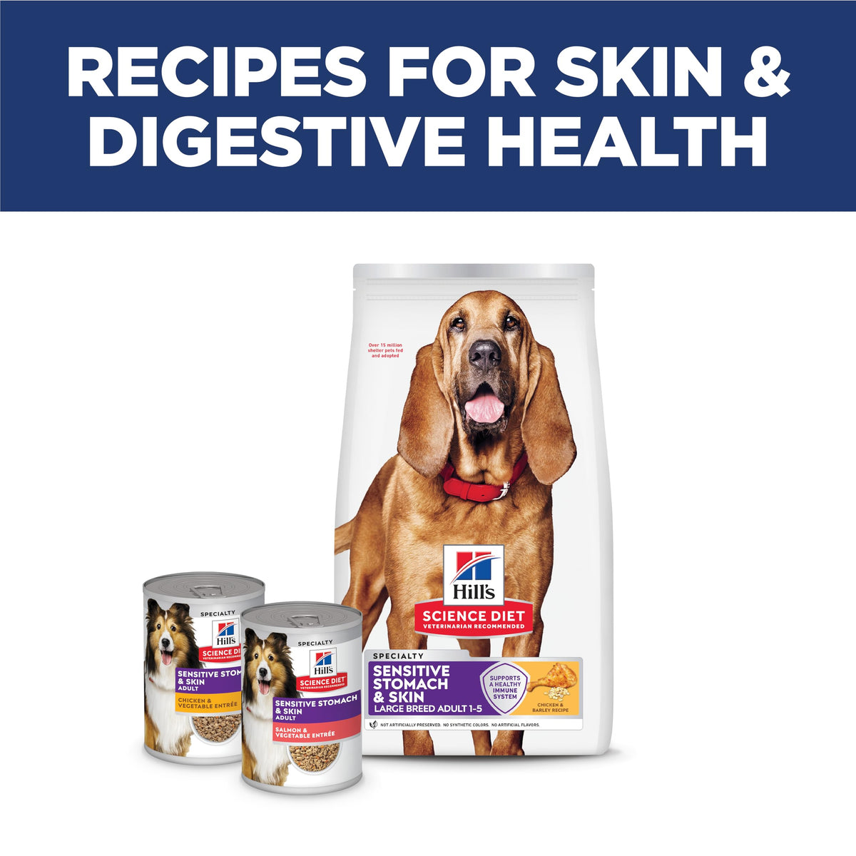 Hill's Science Diet Sensitive Stomach & Skin Large Breed Dry Dog Food