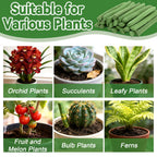 RAINFLOW 90PCS Plant Fertilizer Sticks - Indoor Plant Food Spikes for Pots
