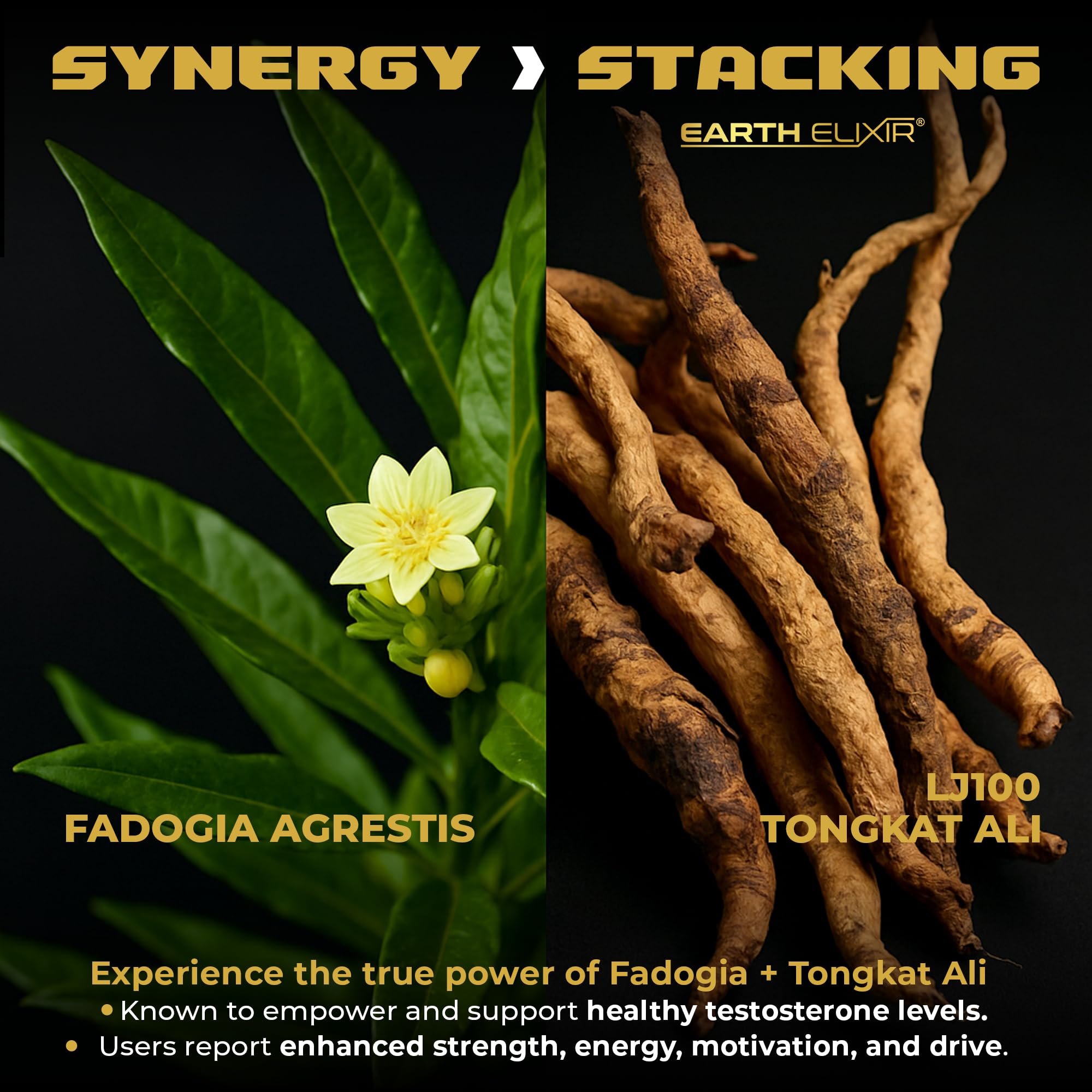 Earth Elixir LJ100 Tongkat Ali & Fadogia Agrestis for Men – Natural Testosterone Supplement - Made in USA & 3rd Party Tested for Strength, Energy & Vitality - Clinically Studied Tongkat Ali LJ100