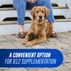 Nutramax Cobalequin Vitamin B12 for Dogs Over 21lbs, Chewable Tablets, 45ct | Vitamin B12 Supplement for Dogs, Oral Cobalamin with Folate, May Eliminate the Need for B12 Injections, for Dogs Over 21lbs