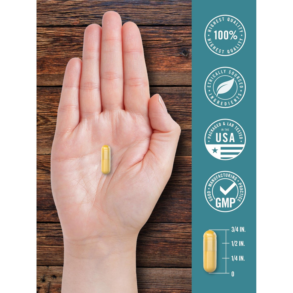 Carlyle Ox Bile Supplement 500 mg | 60 Capsules | Digestive Enzymes