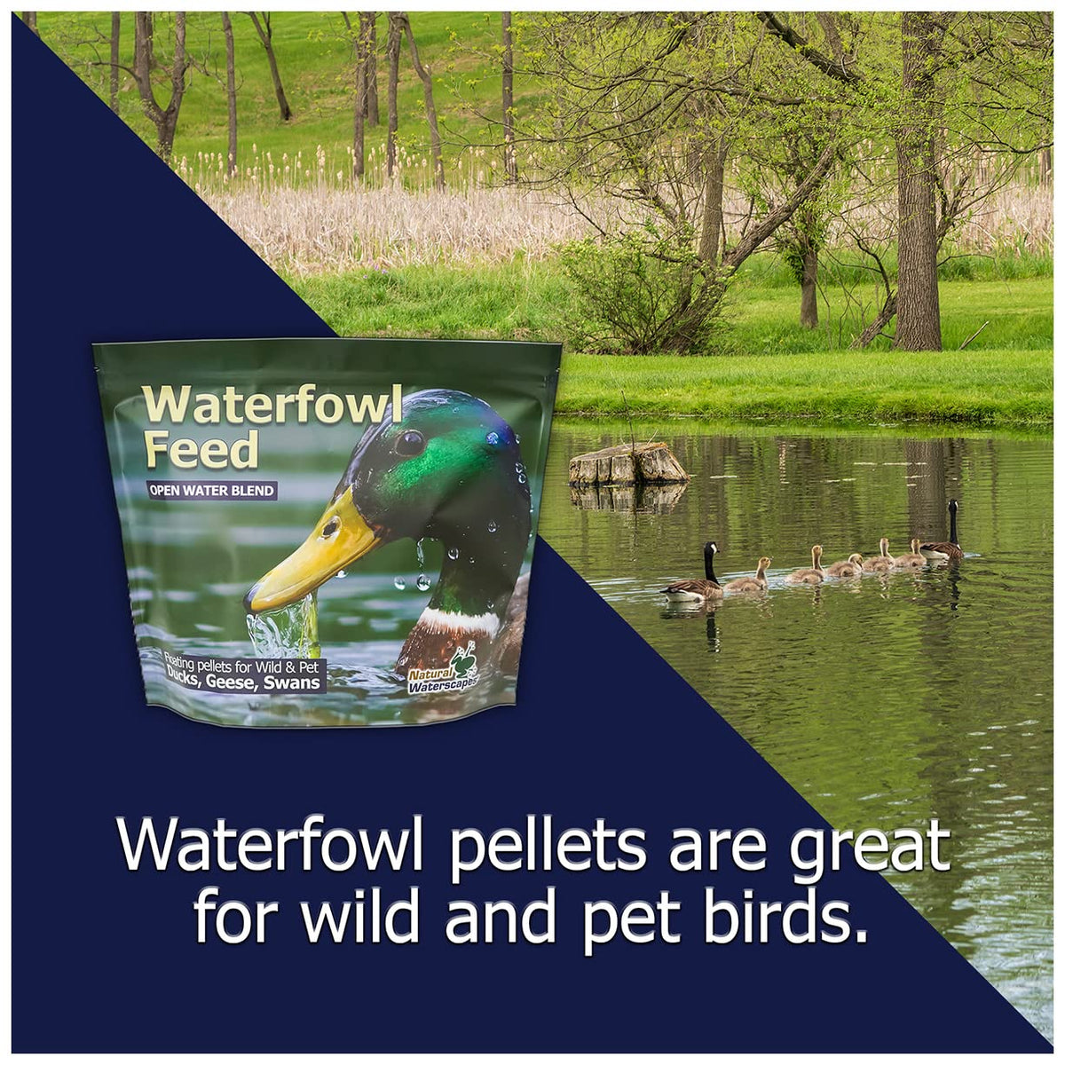 Natural Waterscapes Waterfowl Feed (5 lb) Floating Duck Food | for Wild Ducks, Pet Ducks, Geese, Swans
