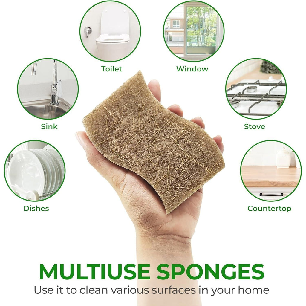 Buy now Biodegradable Natural Kitchen Sponge - Compostable Cellulose and Coconut Walnut Scrubber Sponge (12 Pack) at indiglob india