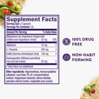 ZzzQuil Pure Zzzs Complete Sleep, Melatonin 10mg, L-Theanine, GABA, with Ashwagandha, and Magnesium, Melatonin Sleep Aid, 100 Count