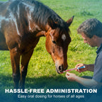Ivermectin Equine Paste 1.87% – Apple Flavored Oral Dewormer for Horses, 6-Pack