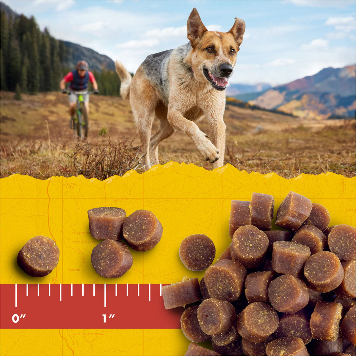 Zuke's Mini Naturals Dog Training Treats, Soft Mini Dog Treats with Vitamins & Minerals, Made for All Breed Sizes Chicken, 16 Ounce (Pack of 2)