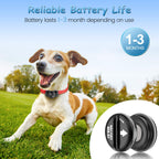 KGC RFA-67 6 Volt Replacement Dog Collar Batteries, Ultra Fit PIF-300 RF300 PIF-275-19 PRF-3004W PUL-250 PUL-275 PIG00-13661 PBC-102, Compatible with PetSafe RFA 67 Battery (10 Pack)