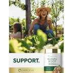 Carlyle Kudzu Root | 100 Extract Capsules | Non-GMO and Gluten Free Formula