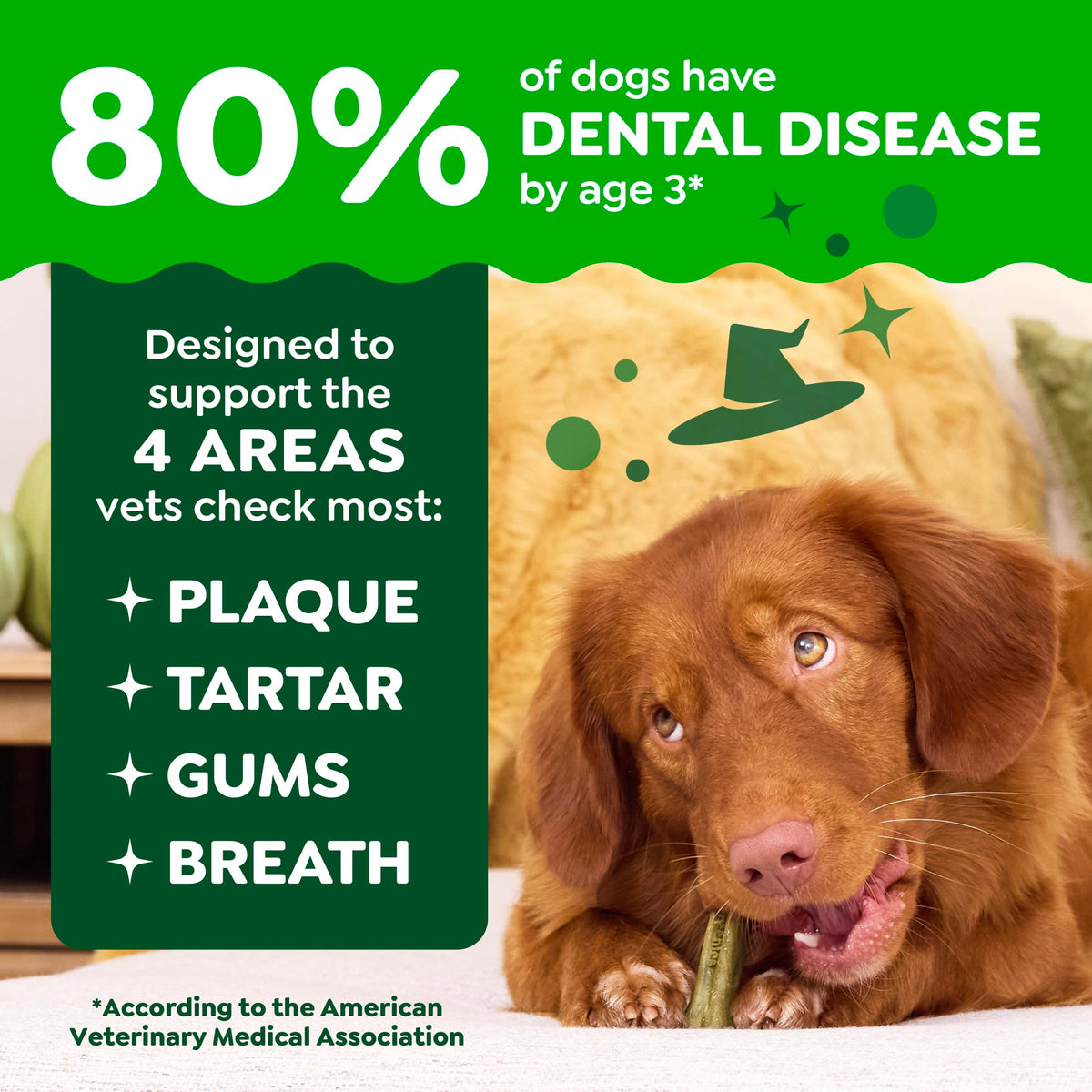 Greenies Teenie Natural Dental Dog Treats, Pumpkin Spice Flavor, 43 Count