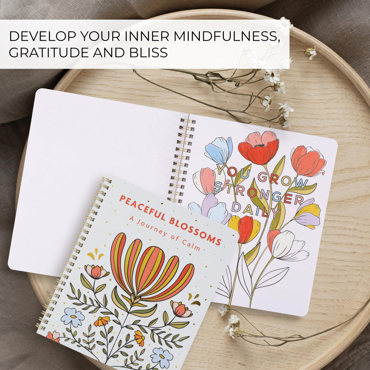 Beautiful Adult Coloring Book Set of 2 for Relaxation - Affirmation Books