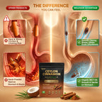 Ceylon Cinnamon with MCT Oil for Daily Metabolic & Energy Support