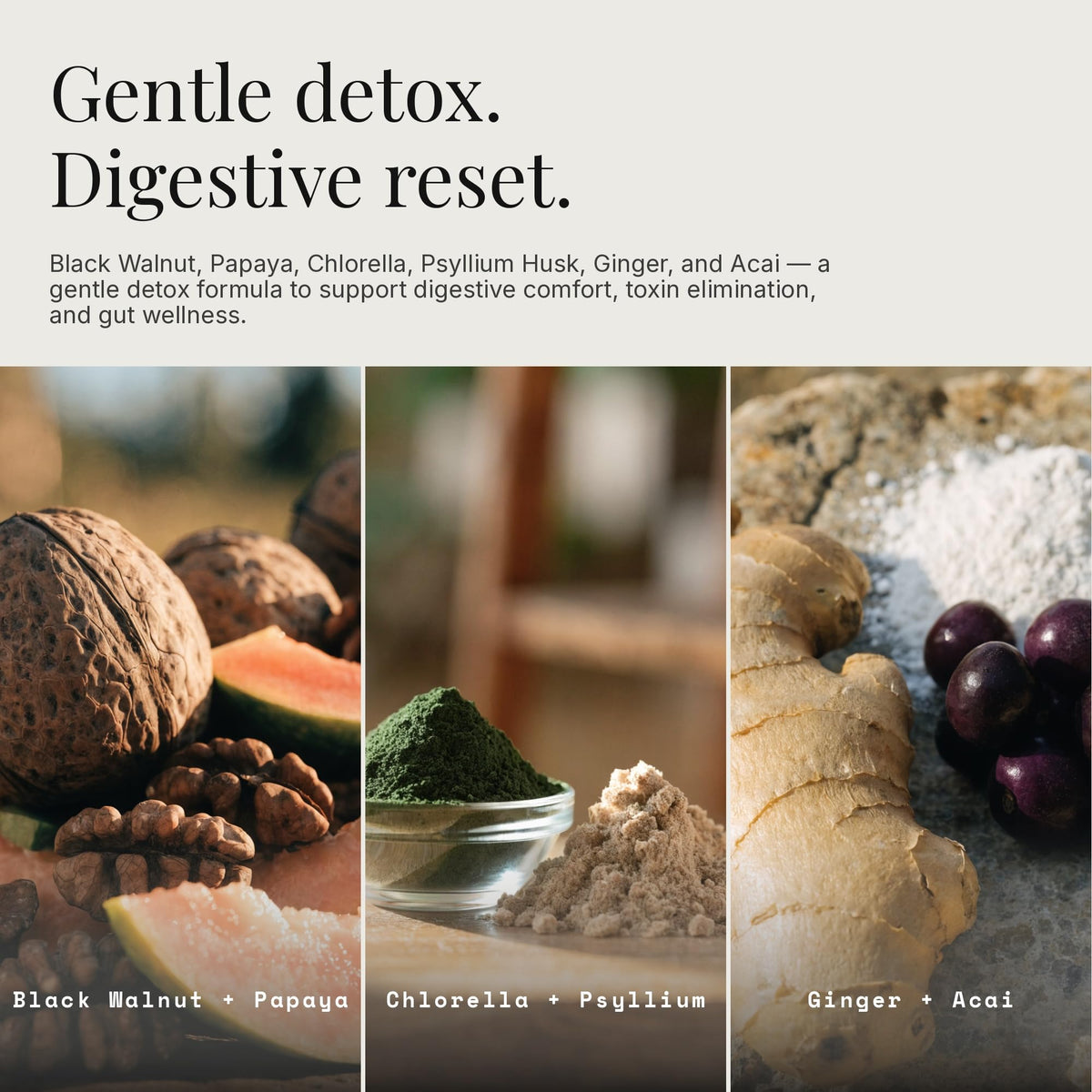 Detoxify Advanced Cleanse - Black Walnut Papaya Seed Herbal Formula - Gut Health Support with Chlorella Psyllium Aloe Fiber - Intestinal Wellness Blend - Vegan Non-GMO Gluten-Free - 60 Capsules