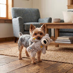 KONG Wild Knots Bear, Knotted Rope Plush Toy, for X-Small Dogs