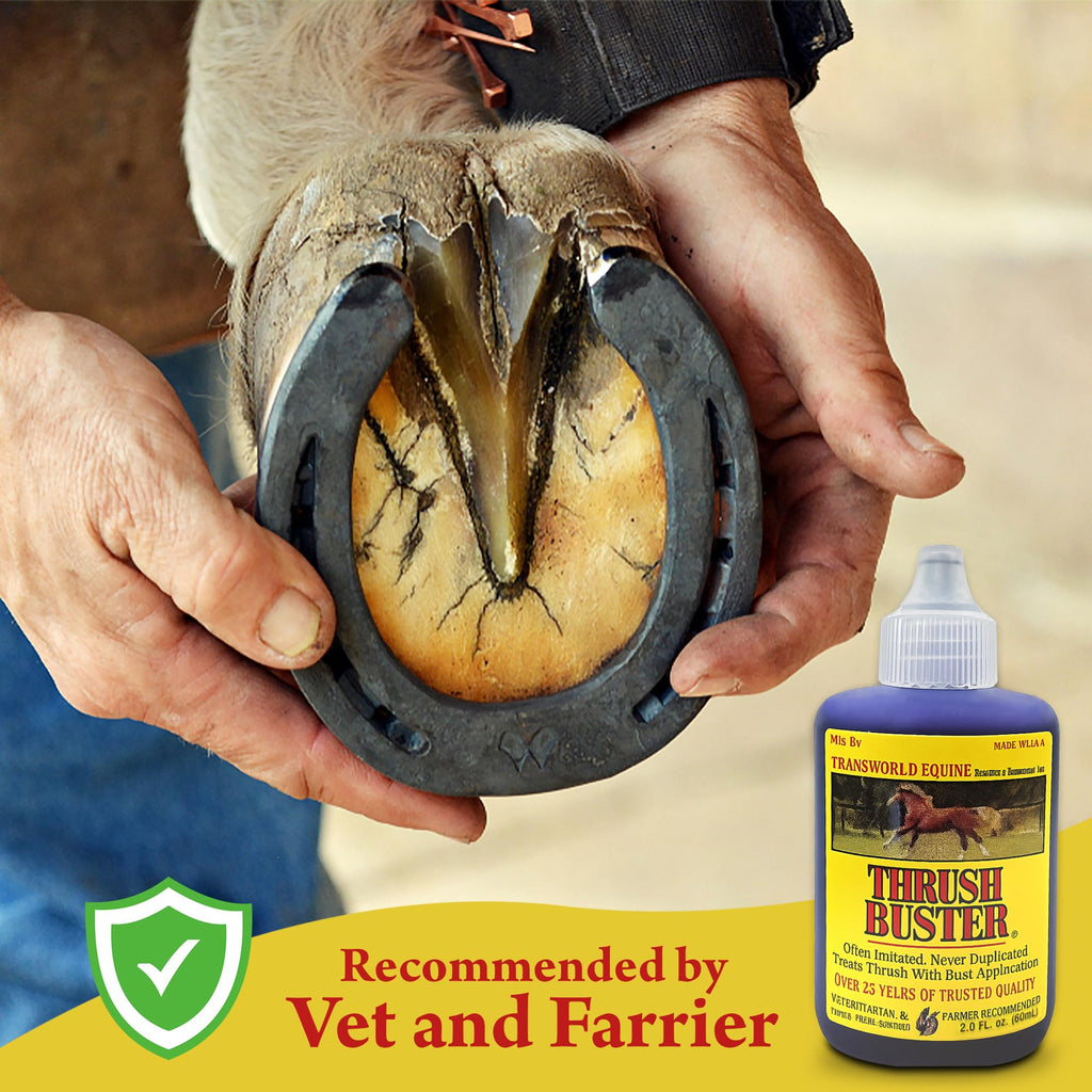 Thrush Treatment for Horses, Hoof Care Liquid to Help Maintain Healthy Hooves, Purple Stain Formula, Easy to Apply, Equine Farrier Favorite, 2 oz