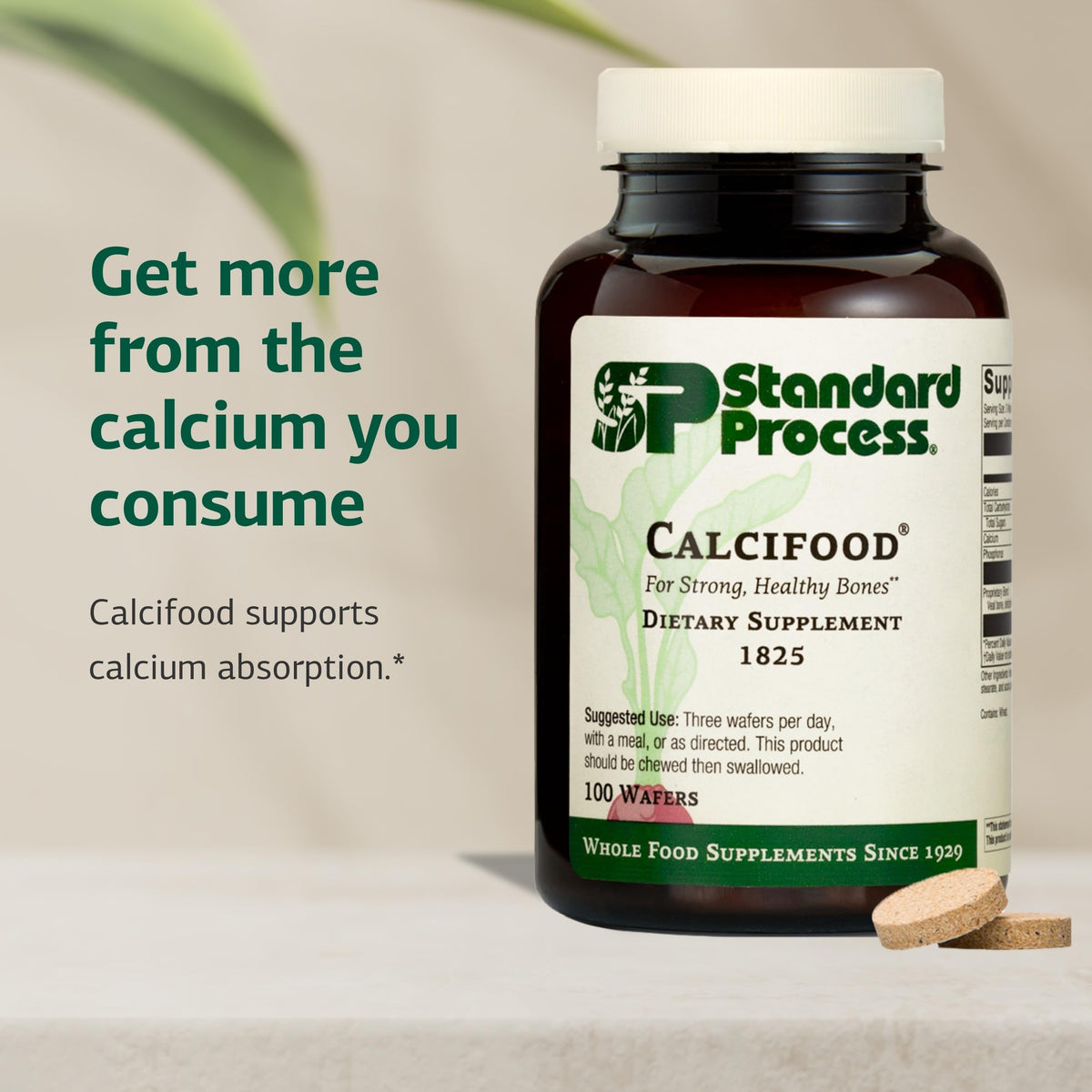 Standard Process Calcifood, Bone Strength & Calcium Absorption, 100 Wafers