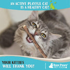 Raw Paws Silvervine Sticks for Cats (30-Count) - Dental Cat Chew Stick