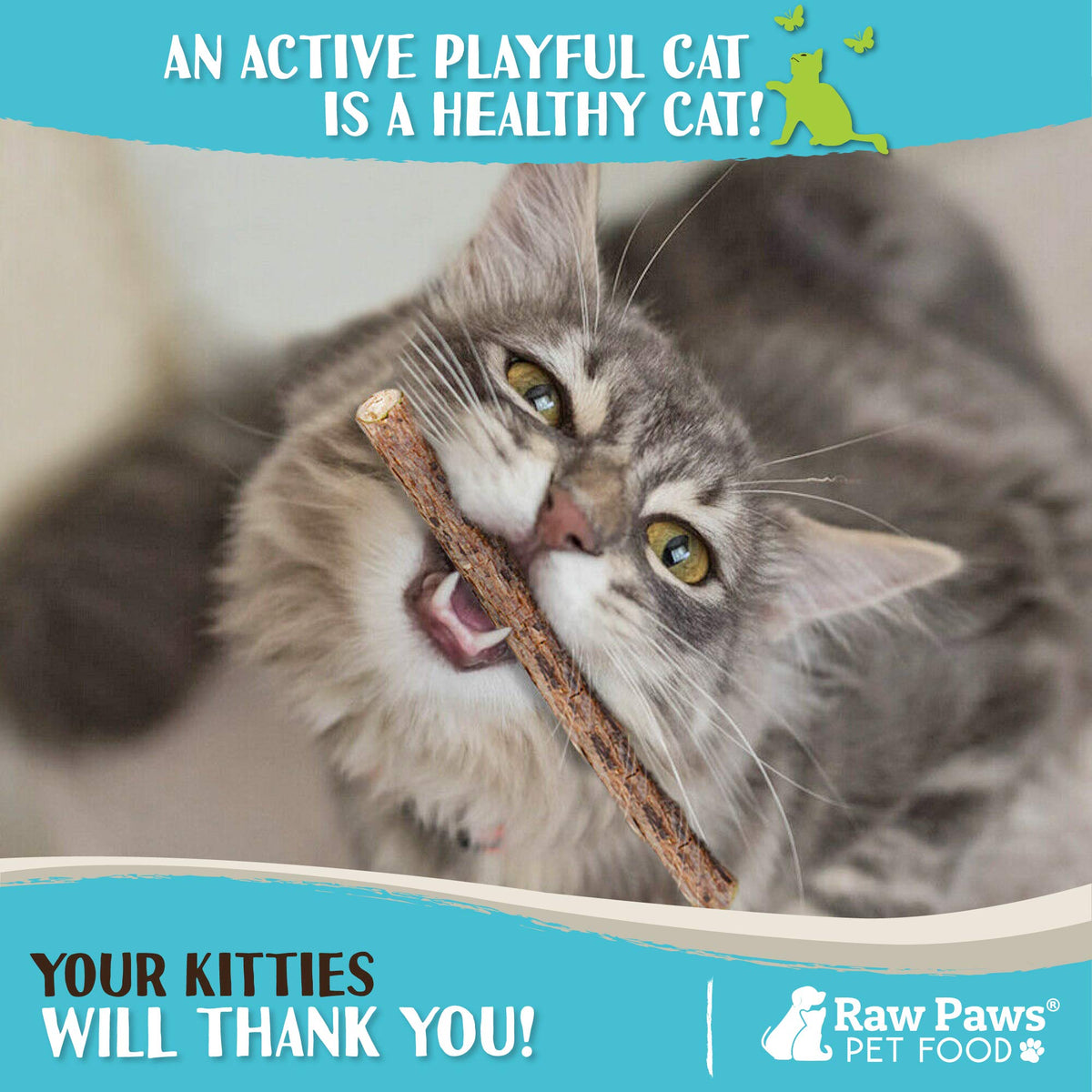 Raw Paws Silvervine Sticks for Cats (30-Count) - Dental Cat Chew Stick