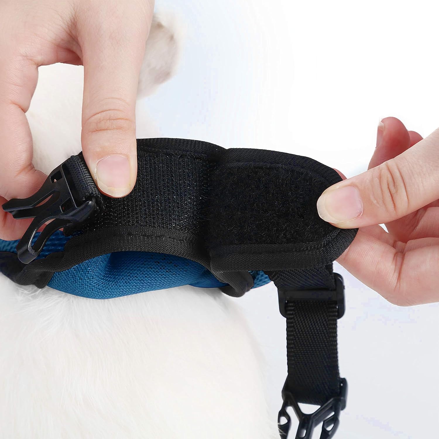 Buy now PETTOM Bunny Rabbit Harness with Stretchy Leash Cute Adjustable Buckle Breathable Mesh Vest for Kitten Small Pets Walking (Blue,S) at indiglob india