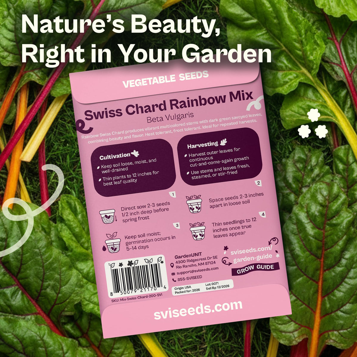 SVI 200 Rainbow Mixture Swiss Chard Seeds (Beta Vulgaris VAR. Cicla) - Five Color Silverbeet Chard, Colorful Stems, Non GMO Heirloom Seed - Perfect Vegetable Seeds in Seed Packets for Home Garden