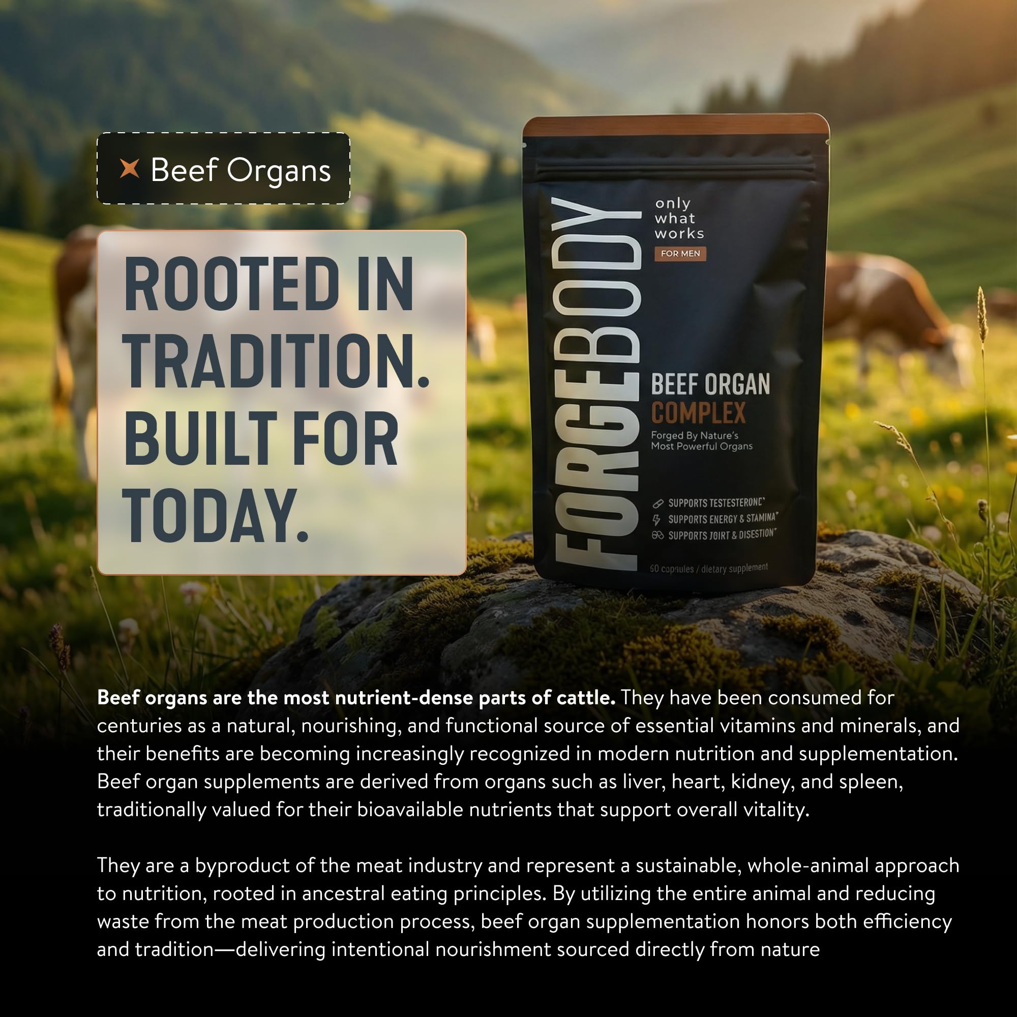 Forgebody Beef Liver & Organ Complex Supplement, Grass-Fed Liver, Heart, Bone Marrow, Pancreas, Testicles Ancestral Nutrition for Athletes and Active Men, Supports Energy + Recovery + Brain, 1 Month