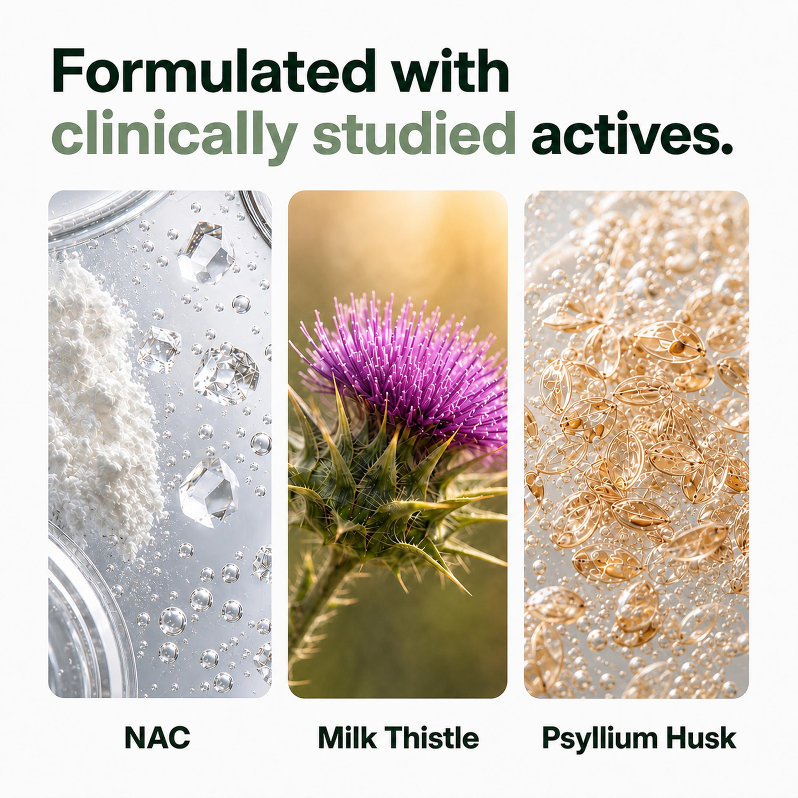 Zeolite Detox Binder, 8-in-1 Clinoptilolite & Activated Charcoal, 60ct | Natural Detoxification Pathways, Liver Health & Digestive Support: Milk Thistle & NAC