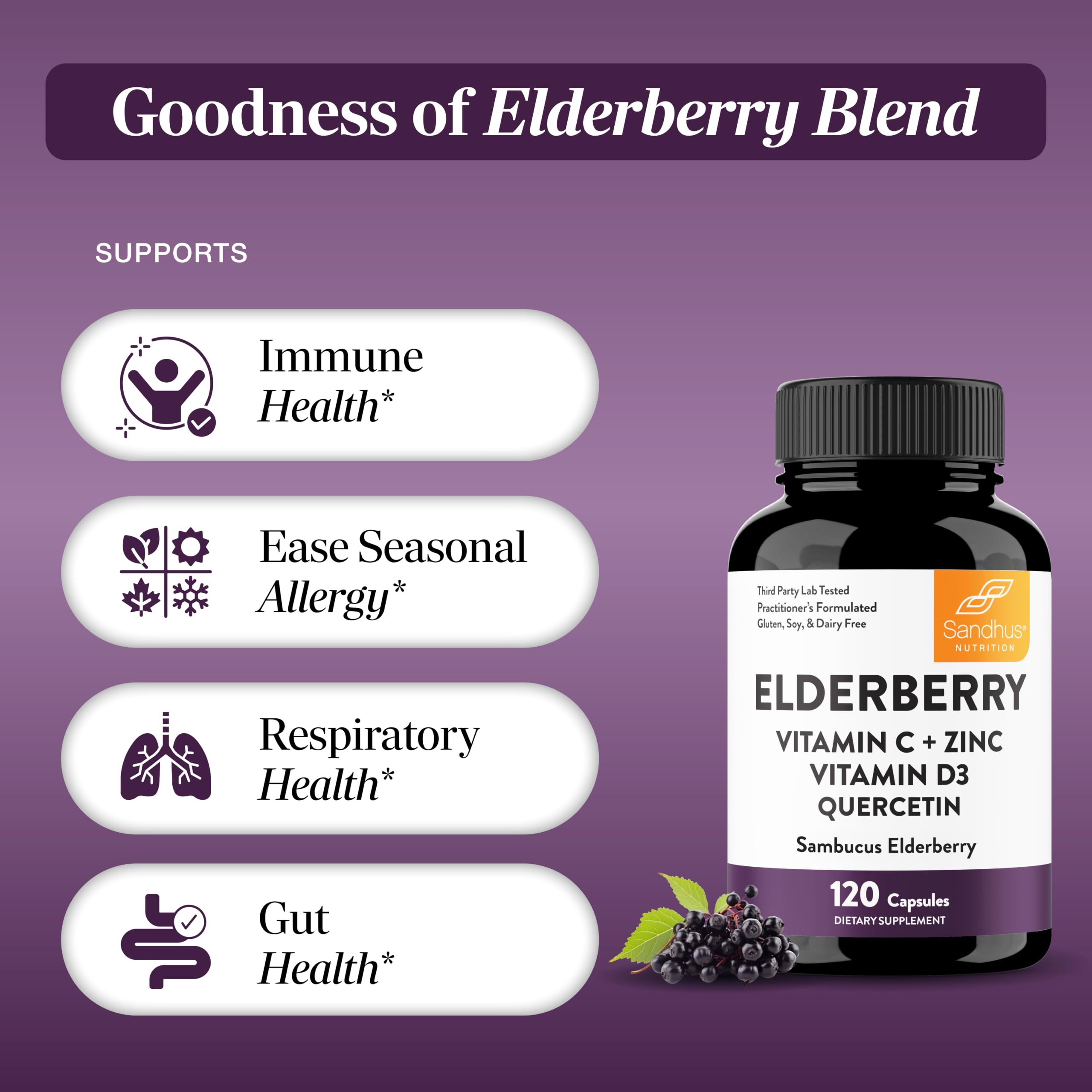 Elderberry Vitamin C and Zinc Capsules with D3 and Quercetin, 120 Count | 6-in-1 Immune Support Supplements For Adults, Sambucus Extract Zink Ginger USA Made in NSF GMP Certified Facility By Sandhu's