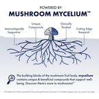Buy now Host Defense MyCommunity Capsules - 17 Species Blend Mushroom Supplement for Immune Support - Herbal Aid with Lion's Mane, Reishi. Chaga, Cordyceps, Turkey Tail & More - 120 Capsules (60 Servings)* at indiglob india