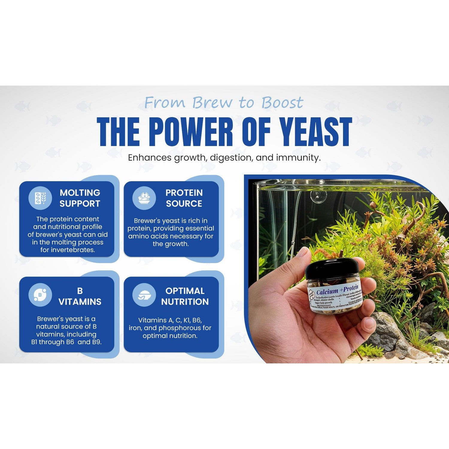 Calcium + Protein, for Strong Shells, Healthy Molts, 100% Natural, Does Not Dissolve in Water, Fast Sinking for Aquatic Shrimp, Snails, Plecos and More! Biologist Made in USA