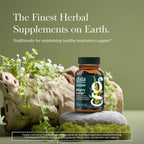 Buy now Gaia Herbs Mighty Lungs - Lung Support Supplement to Help Maintain Overall Lung & Respiratory Health* - With Mullein, Plantain, Schisandra & Elecampane - 60 Vegan Liquid Phyto-Capsules (30-Day Supply) at indiglob india