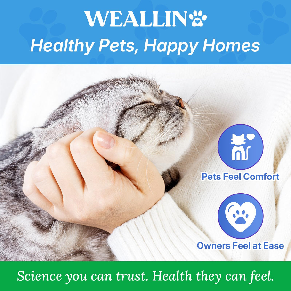 Flea and Tick Prevention for Large Cat, Fleas and Ticks Treatment for Cats
