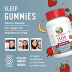 MARYRUTH'S Melatonin Free Sleep Gummies, L Theanine, Sugar Free, 60 Count | L Theanine, Lemon Balm Leaf, Chamomile, Vitamin B6, 60 Count