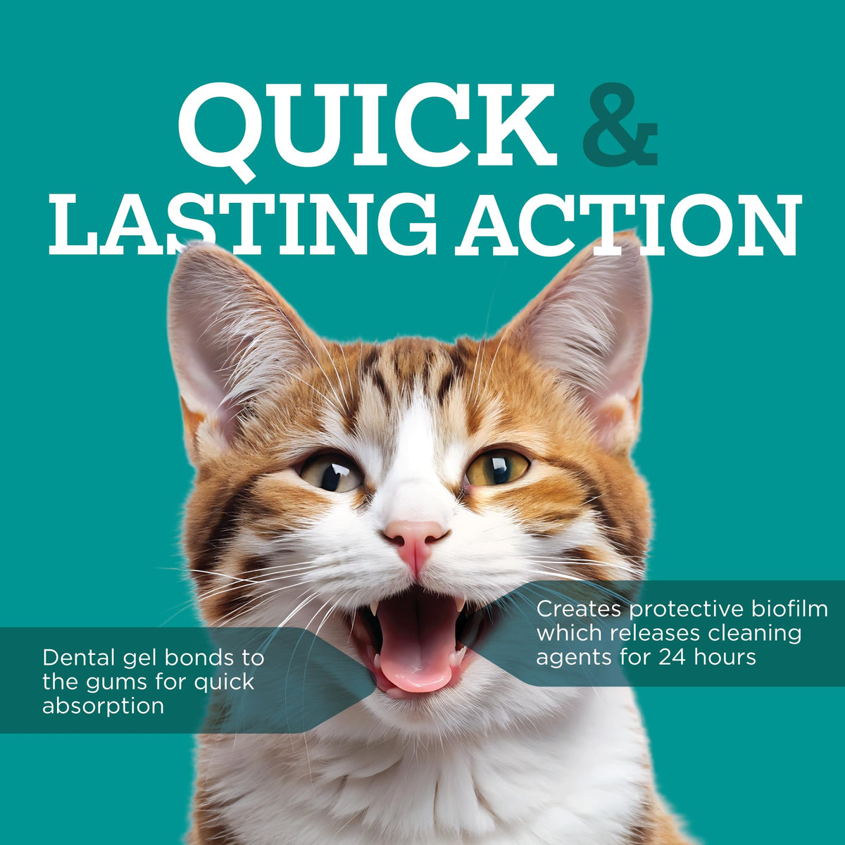 Twist + Lick Brush Free Dental Gel for Cats, 30 Day Supply, Fresh Breath