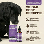 Back 40 Dogs Premium Grass-Fed Liquid Collagen for Dogs Skin and Coat, Hips and Joints | Allergy Relief with Biotin, Vitamin C and MSM for Joint, Nails & Immunity | Made in USA