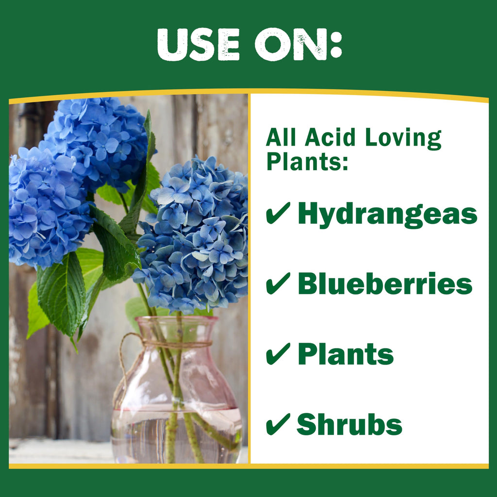 Espoma Organic Soil Acidifier Amendment; Lowers Soil pH and Turns Hydrangeas Blue! Contains Elemental Sulfur and can be Used for Organic Gardening 6 lb. Bag - Pack of 1