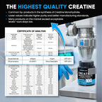 Venture Pal 100% Pure Micronized Creatine Monohydrate Powder 5g Per Serving | Vegan, Keto, GMO-Free & Gluten Free, Creatina Monohidratada en Polvo for Women & Men, Unflavored