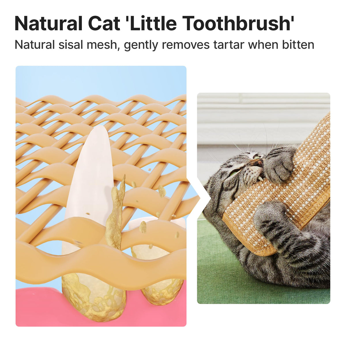Potaroma Cat Toys Pack of 2 with 6000mg A+ Organic Catnip, Sisal Material